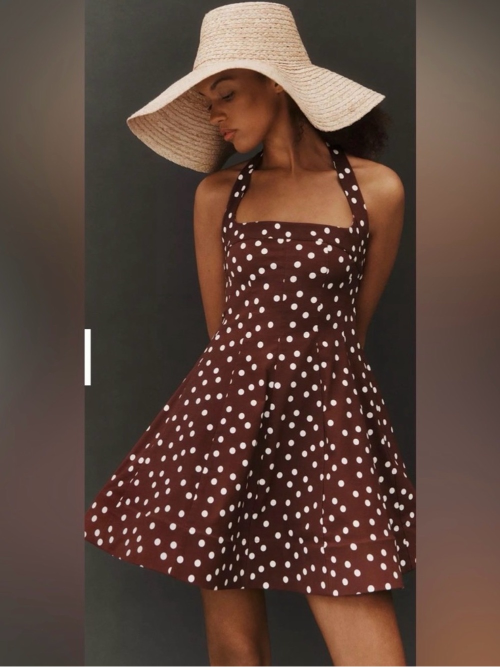Anthropologie Maeve Halter Square-Neck Skater Mini Dress Maroon Brown Motif S - Picture 2 of 9